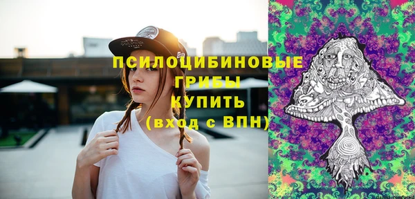 apvp Лиски