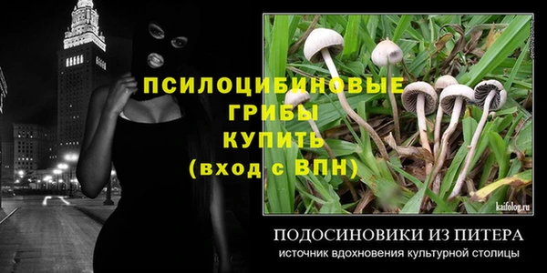 apvp Лиски