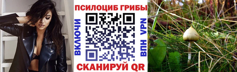 наркошоп  Нижний Ломов  Псилоцибиновые грибы мухоморы 
